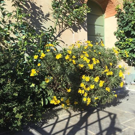 Casa Mita Con Pacchetto Mare Incluso Villa Camaiore Eksteriør billede