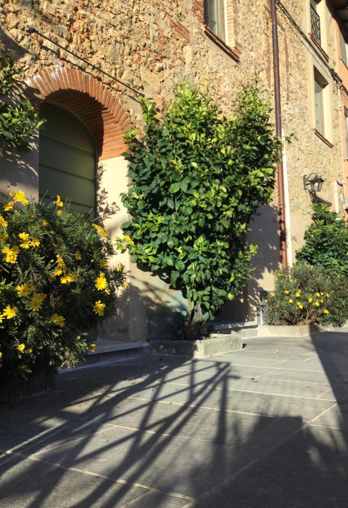 Casa Mita Con Pacchetto Mare Incluso Villa Camaiore Eksteriør billede